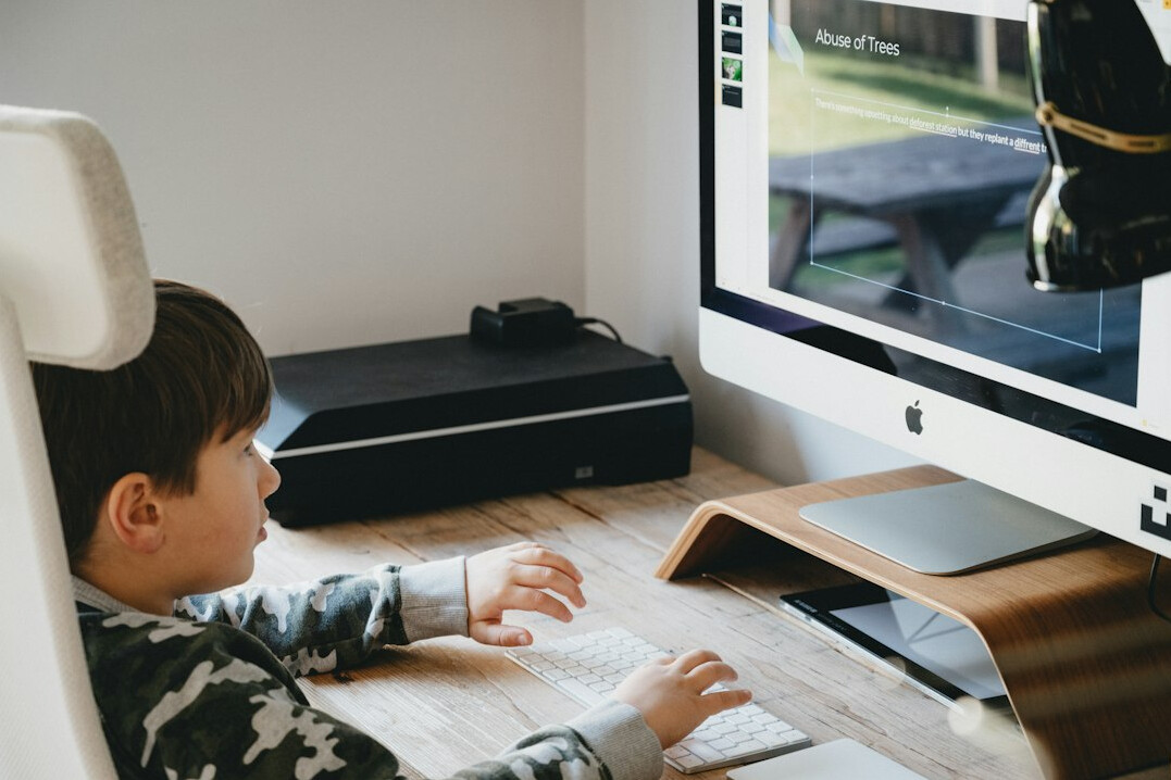 online learning setup
